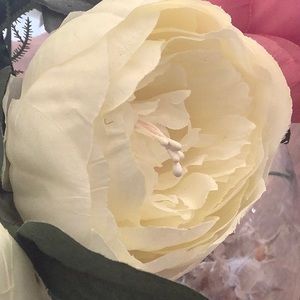 Meet your Posher, Catherine